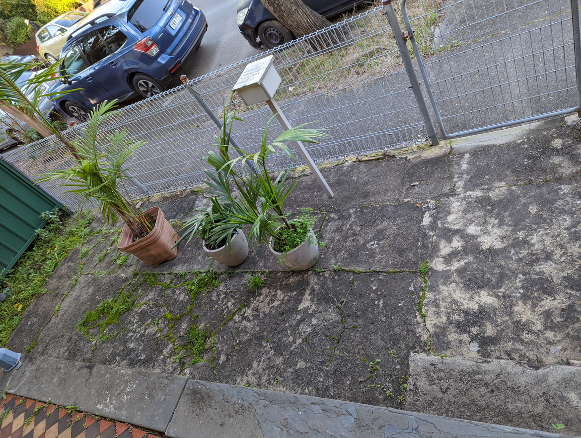 front yard.png front yard.png