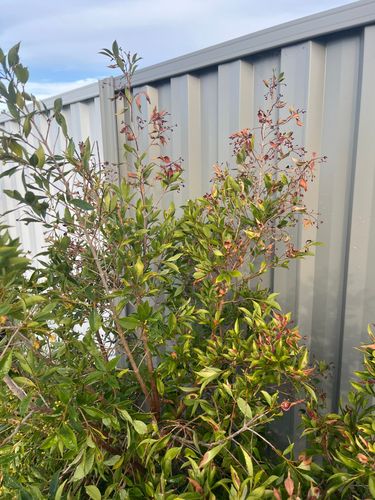 IMG_3696.jpeg IMG_3696.jpeg