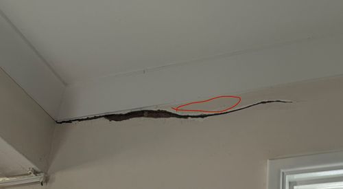 IMG_3307.jpeg IMG_3307.jpeg