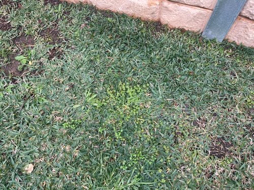 IMG_7229.jpeg IMG_7229.jpeg