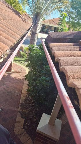 IMG_7830.jpeg IMG_7830.jpeg