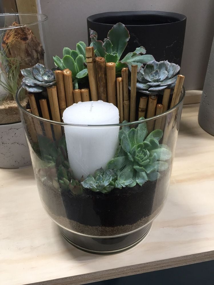 59868968-2F3D-4009-A653-BCFDDDF235E0.jpeg 59868968-2F3D-4009-A653-BCFDDDF235E0.jpeg