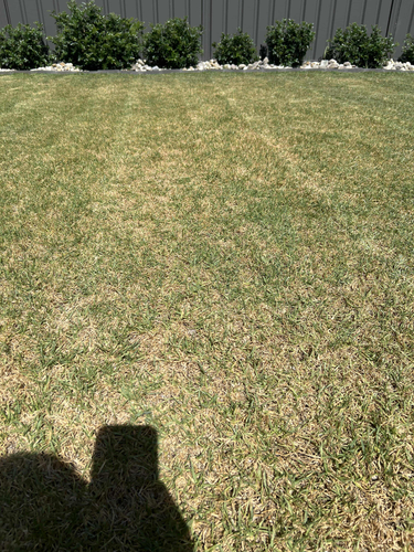 Murlun_1-1734411630025.png Murlun_1-1734411630025.png