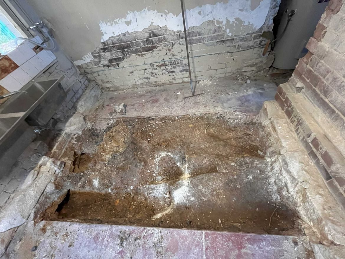 IMG_4310.jpg IMG_4310.jpg