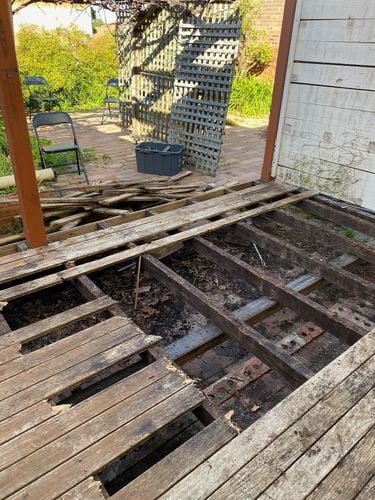 IMG_7826.jpeg IMG_7826.jpeg