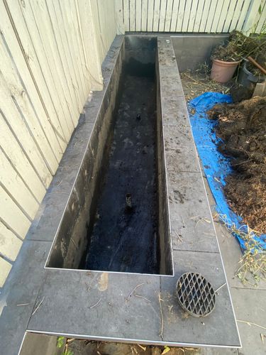 IMG_6524.jpeg IMG_6524.jpeg