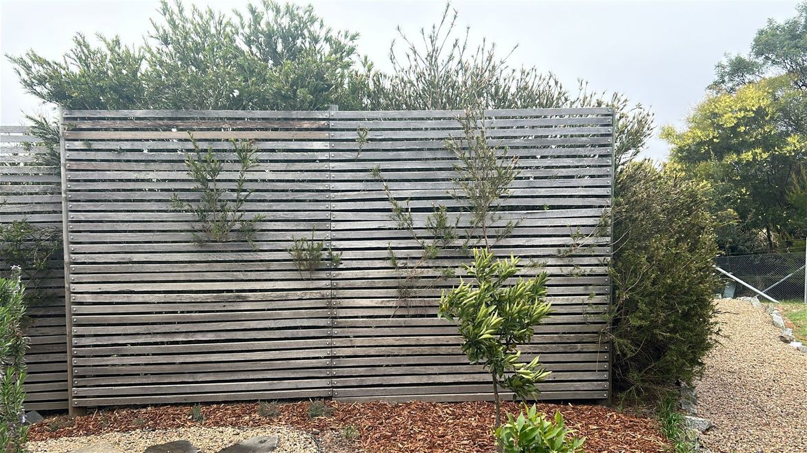 4dfe8398-f7af-43cc-876a-d92fd4926152.jpeg 4dfe8398-f7af-43cc-876a-d92fd4926152.jpeg