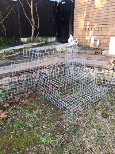 60 14-07-2024.jpg 60 14-07-2024.jpg