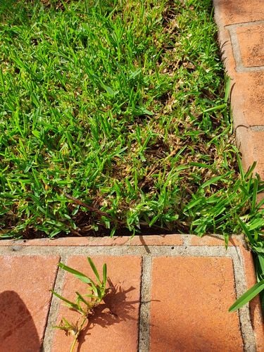 20210217_094654.jpg 20210217_094654.jpg