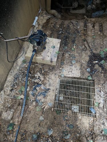 IMG_0461.jpg IMG_0461.jpg