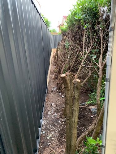 IMG_2025.jpeg IMG_2025.jpeg