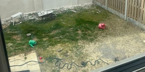 IMG_8869.jpeg IMG_8869.jpeg