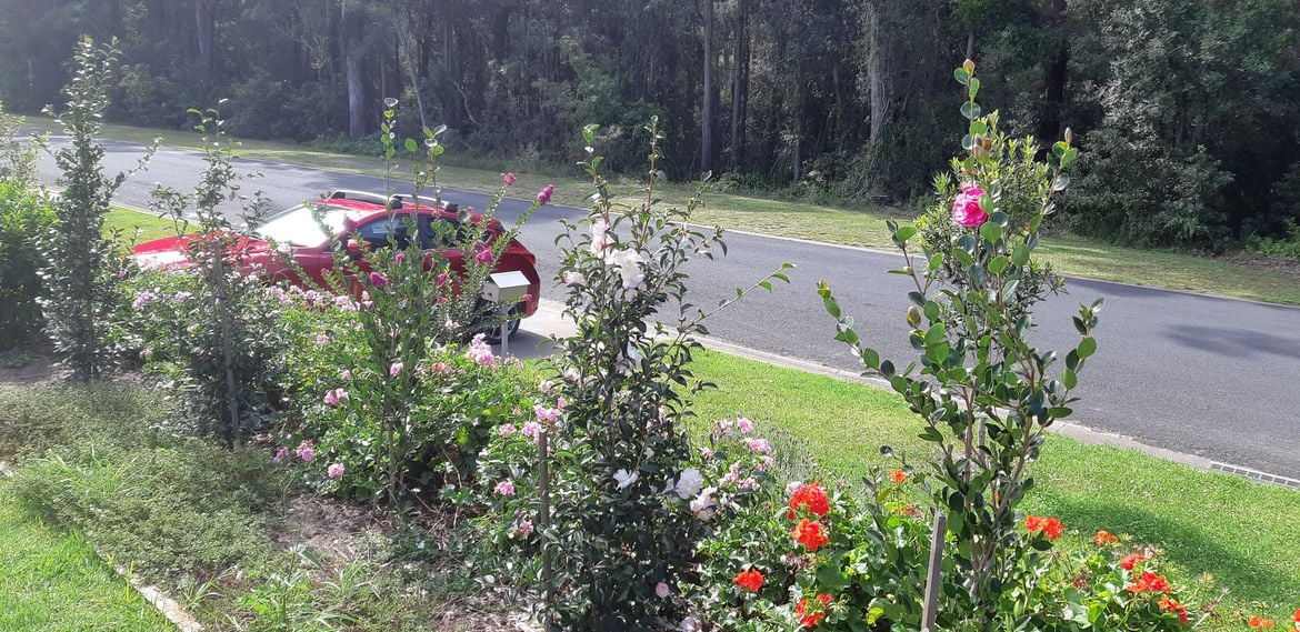 20210311_151442.jpg 20210311_151442.jpg