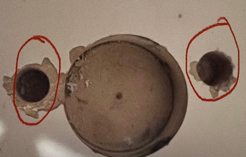 IMG_5674.jpeg IMG_5674.jpeg