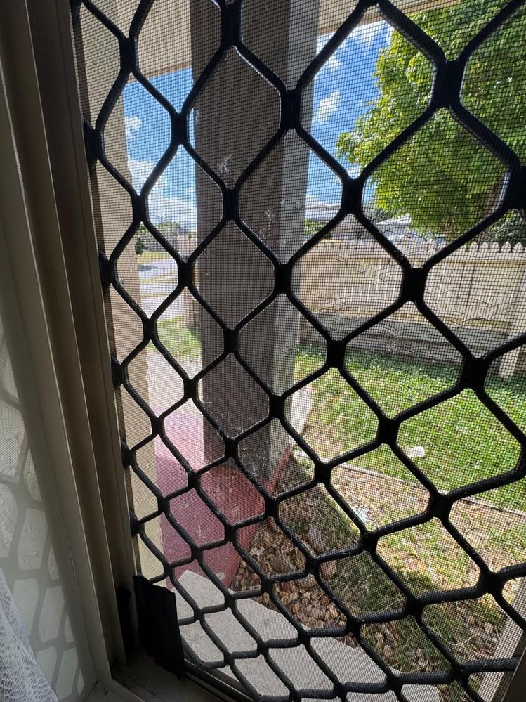 window8.jpeg window8.jpeg