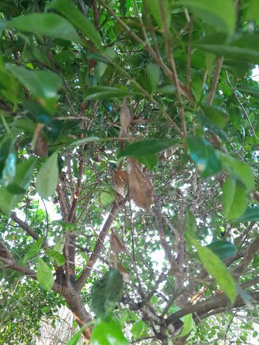 1000045839.jpg 1000045839.jpg