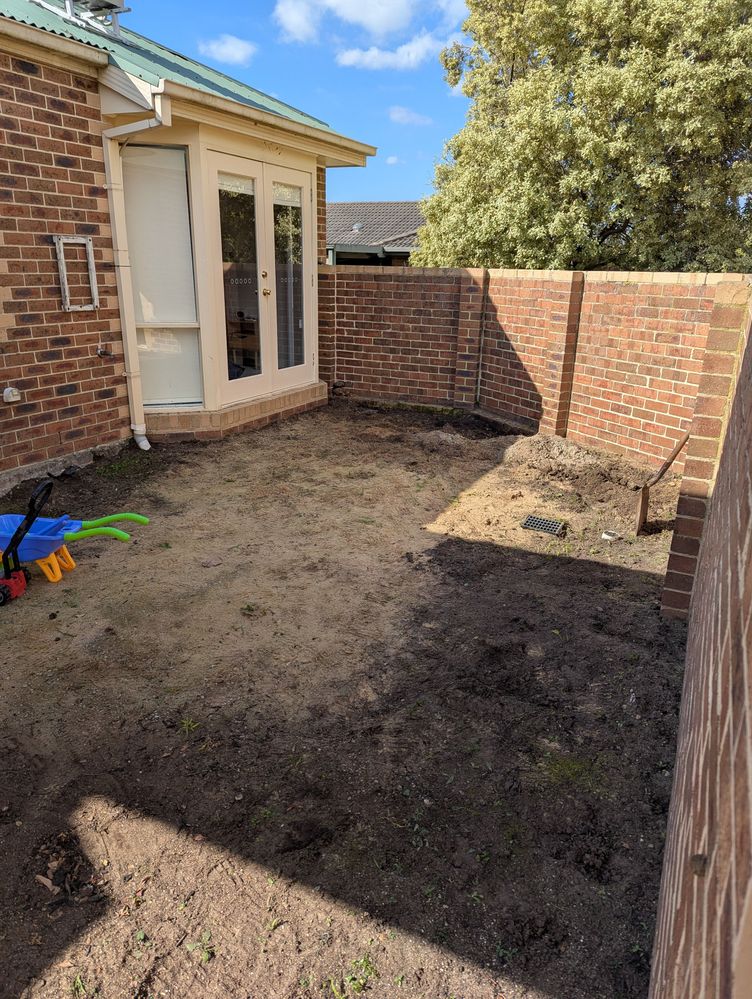 PXL_20250824_034739930.jpg PXL_20250824_034739930.jpg