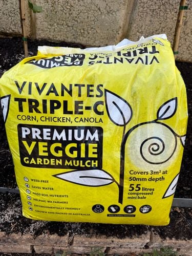 IMG_3315.jpeg IMG_3315.jpeg