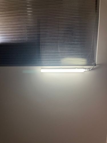 IMG_8419.jpeg IMG_8419.jpeg