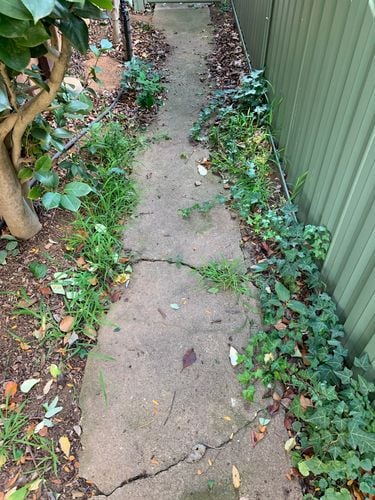 06B646E4-ED40-4EEE-894C-5940A6EE5EC2.jpeg 06B646E4-ED40-4EEE-894C-5940A6EE5EC2.jpeg