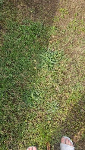 1000011492.jpg 1000011492.jpg