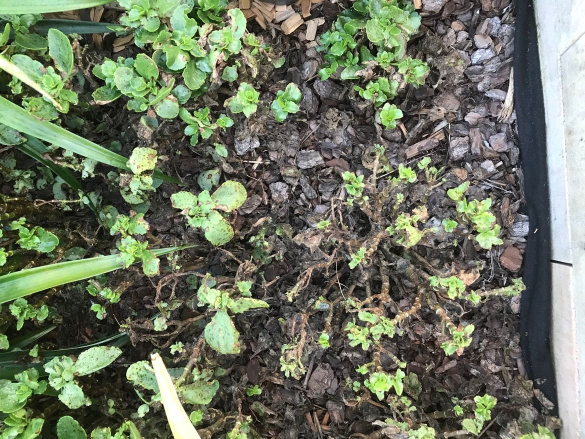 20250415103338.jpg 20250415103338.jpg