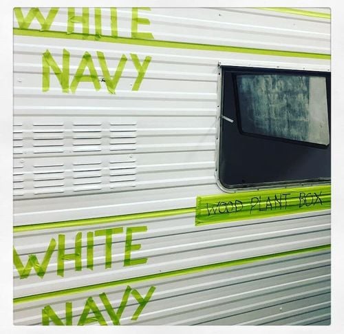 Frankie4.jpg Frankie4.jpg