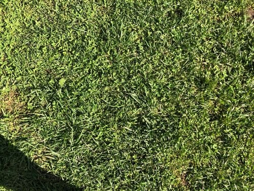 BA7F48ED-1AA2-4F3C-9B07-8A2E23A4BCF8.jpeg BA7F48ED-1AA2-4F3C-9B07-8A2E23A4BCF8.jpeg