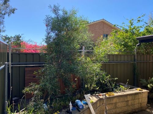 IMG_9612.jpeg IMG_9612.jpeg