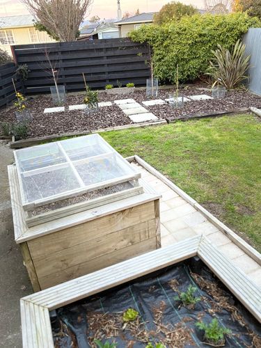 IMG_0084.jpeg IMG_0084.jpeg