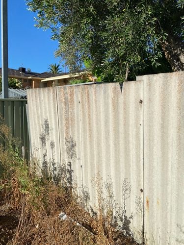 IMG_7307.JPEG IMG_7307.JPEG