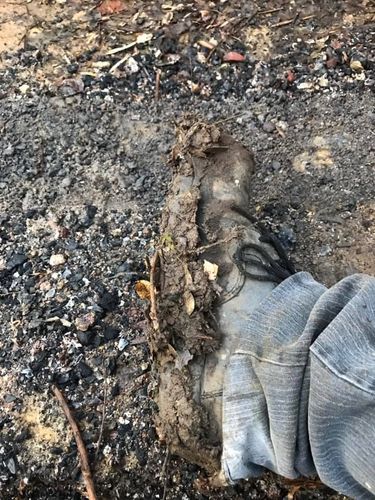 06 14-05-2022.jpg 06 14-05-2022.jpg