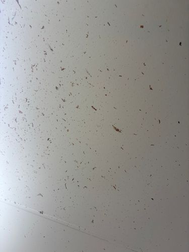 IMG_5016.jpeg IMG_5016.jpeg