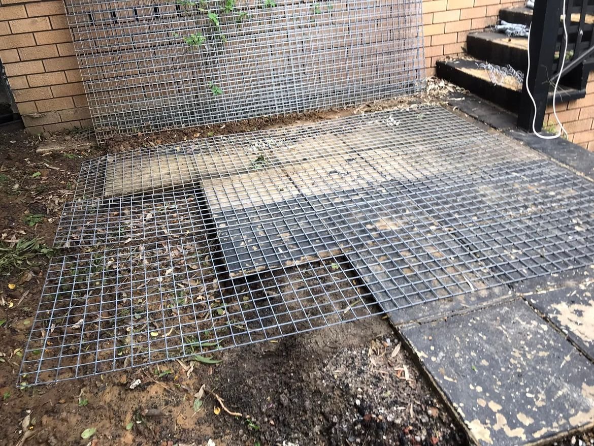 12-03-2022e.jpg 12-03-2022e.jpg