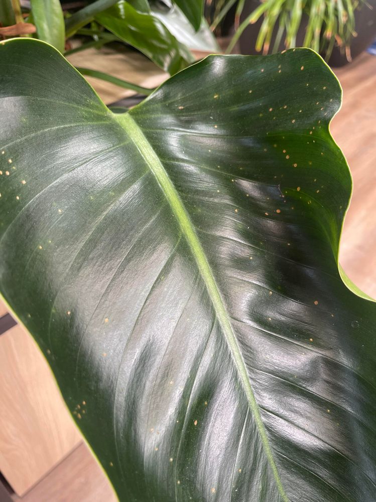 unnamed.jpg unnamed.jpg