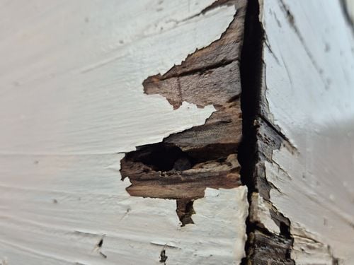 1000061961.jpg 1000061961.jpg