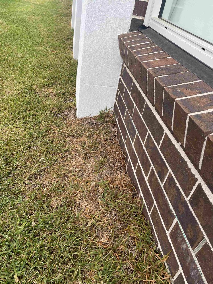 IMG_6974.jpeg IMG_6974.jpeg