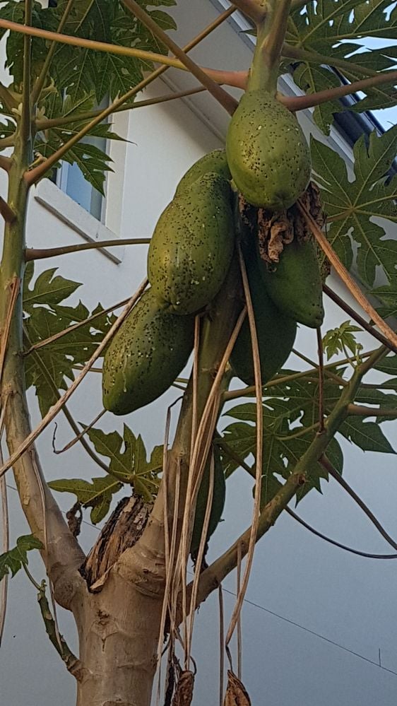 20220604_161251.jpg 20220604_161251.jpg