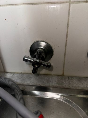 IMG_8374.jpeg IMG_8374.jpeg