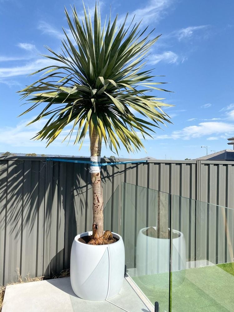 IMG-20191021-WA0001.jpg IMG-20191021-WA0001.jpg