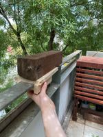 121819807_348221929805572_8299176173521572321_n.jpg 121819807_348221929805572_8299176173521572321_n.jpg