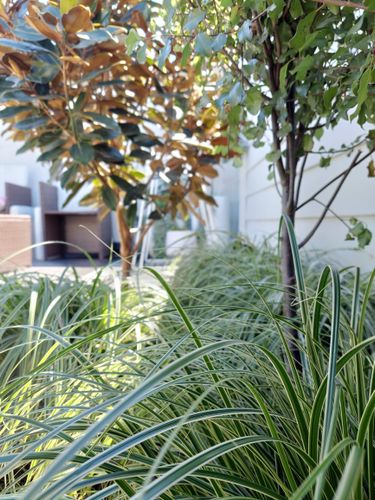 20241025_151232.jpg 20241025_151232.jpg