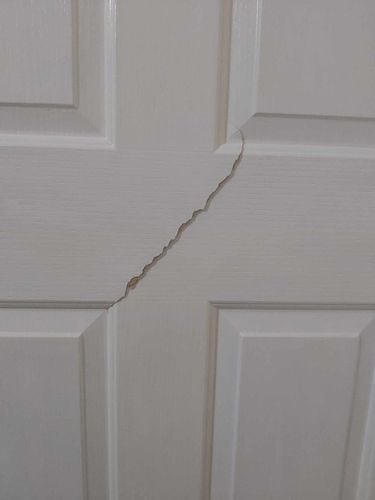 465572062_1484156252264408_925956553368772798_n.jpg 465572062_1484156252264408_925956553368772798_n.jpg