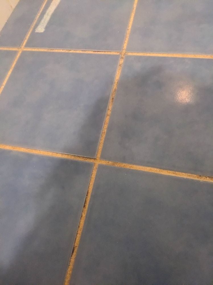 318814061_881836873264073_2226588731295530402_n.jpg 318814061_881836873264073_2226588731295530402_n.jpg