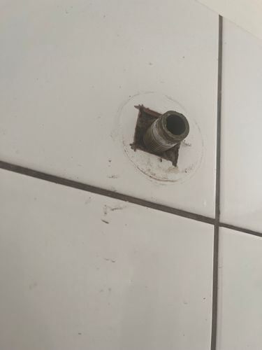 IMG_9884.jpeg IMG_9884.jpeg