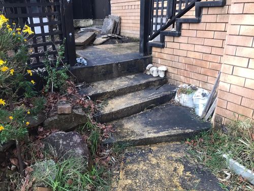 06 12-07-2022.jpg 06 12-07-2022.jpg