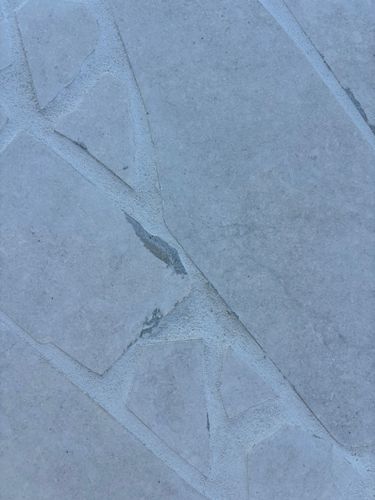 IMG_0548.jpeg IMG_0548.jpeg