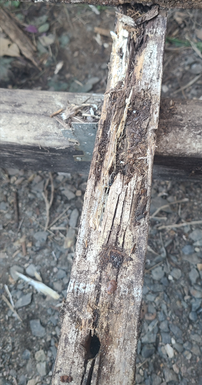 Download.png Download.png