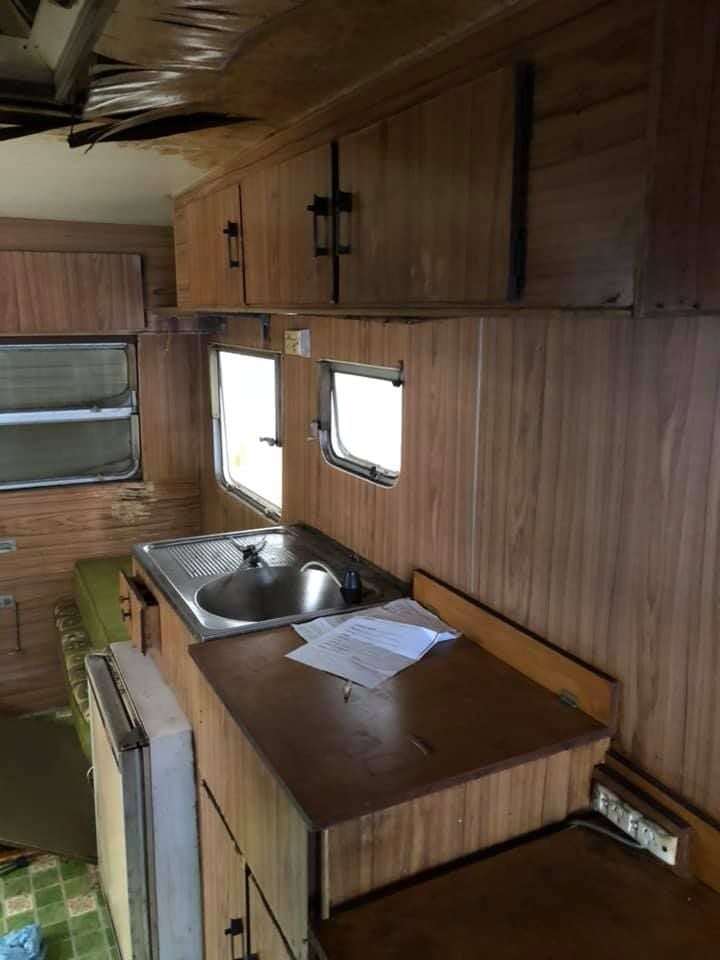 Frankie1.2.jpg Frankie1.2.jpg