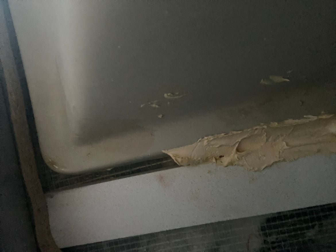 IMG_6461.jpg IMG_6461.jpg